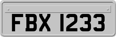 FBX1233