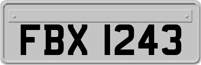FBX1243