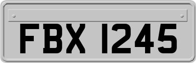 FBX1245