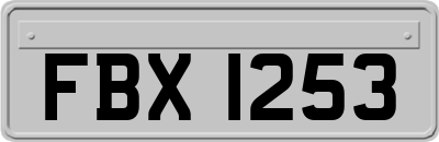 FBX1253
