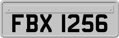 FBX1256