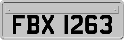 FBX1263