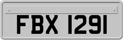 FBX1291
