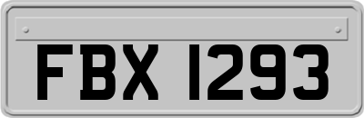 FBX1293