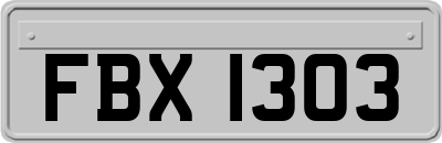 FBX1303