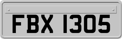 FBX1305
