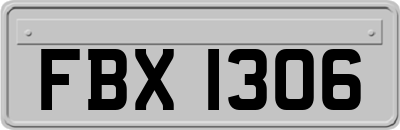 FBX1306