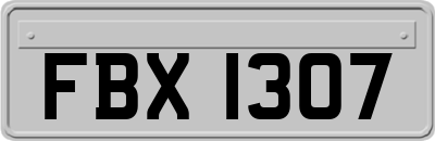 FBX1307