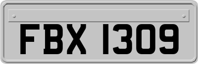 FBX1309