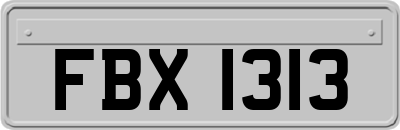 FBX1313