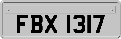 FBX1317