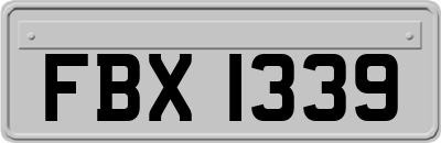 FBX1339