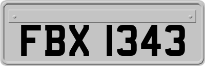 FBX1343