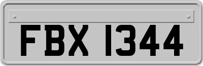 FBX1344