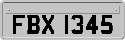 FBX1345