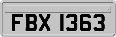FBX1363