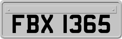 FBX1365