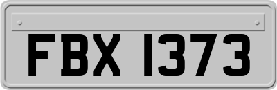 FBX1373