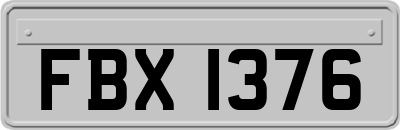 FBX1376