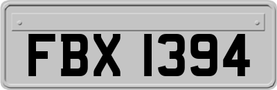 FBX1394