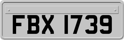 FBX1739