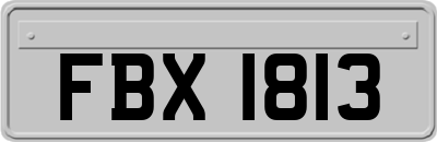 FBX1813