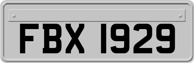 FBX1929