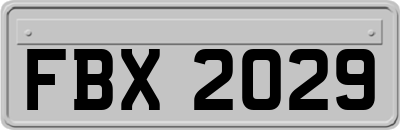 FBX2029