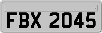 FBX2045