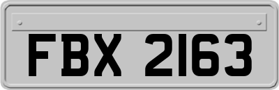 FBX2163