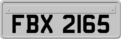 FBX2165