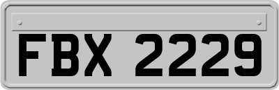 FBX2229
