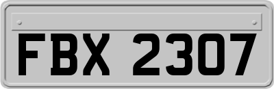 FBX2307