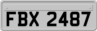 FBX2487