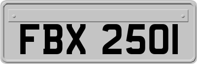 FBX2501