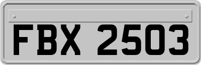 FBX2503
