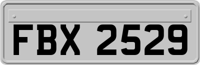 FBX2529