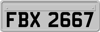 FBX2667