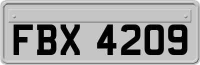 FBX4209