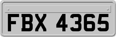 FBX4365