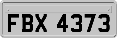 FBX4373