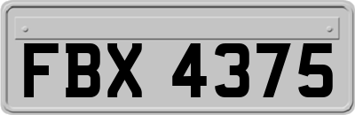 FBX4375