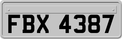 FBX4387