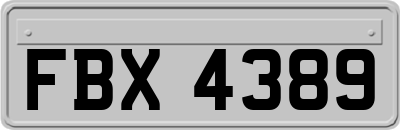 FBX4389