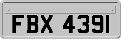 FBX4391