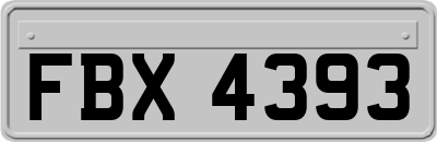 FBX4393