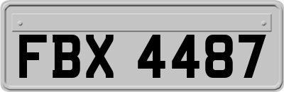 FBX4487