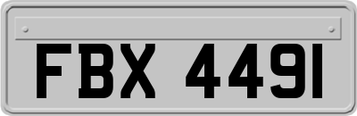 FBX4491