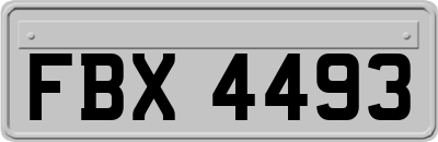 FBX4493