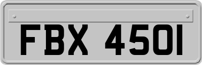 FBX4501